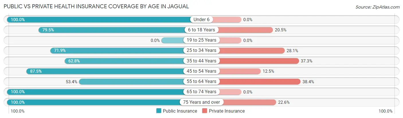 Public vs Private Health Insurance Coverage by Age in Jagual