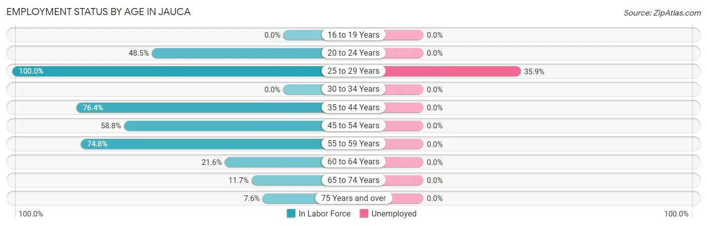 Employment Status by Age in Jauca