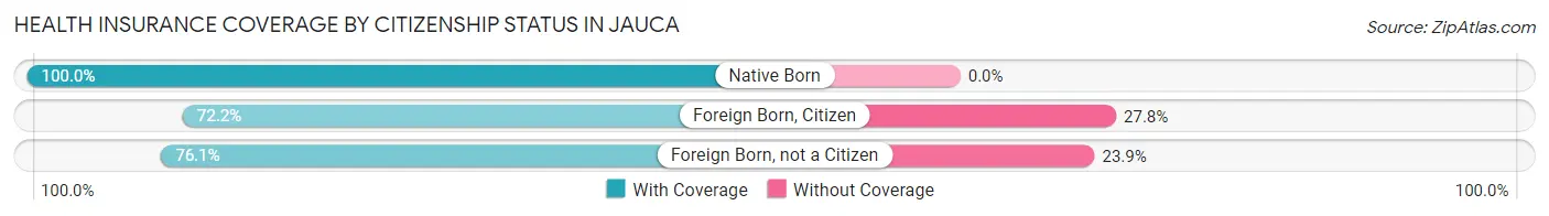 Health Insurance Coverage by Citizenship Status in Jauca