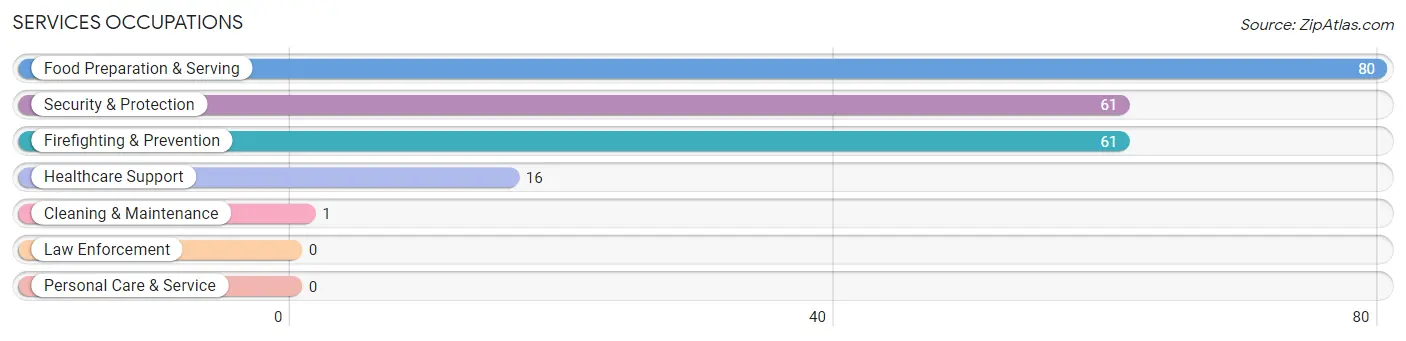 Services Occupations in Jauca