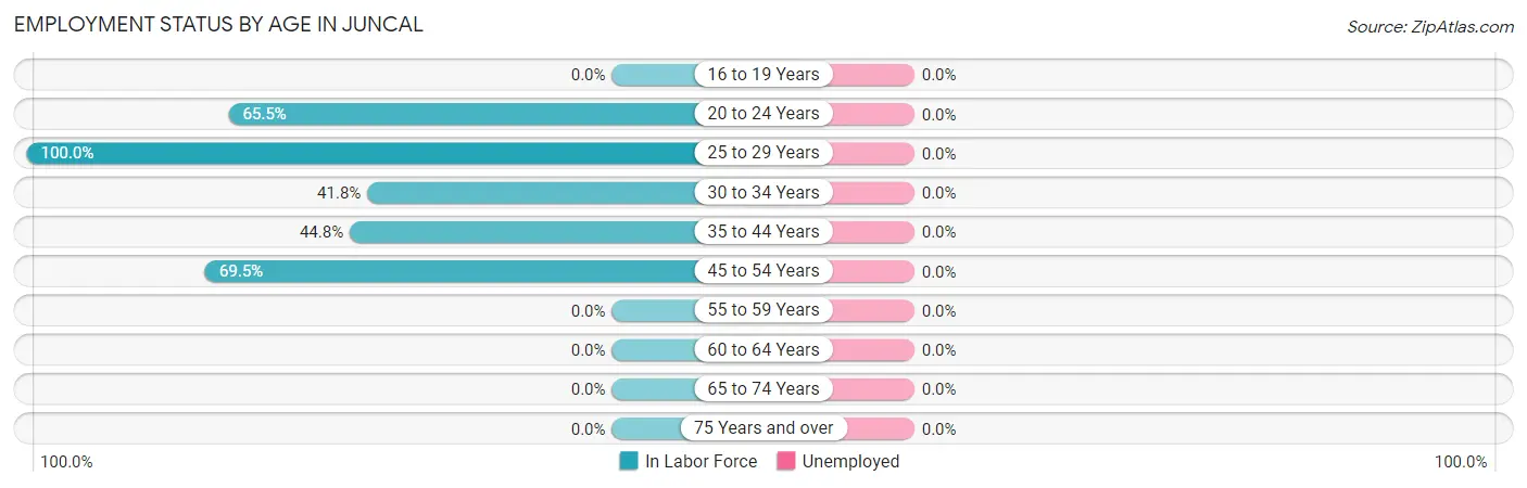 Employment Status by Age in Juncal