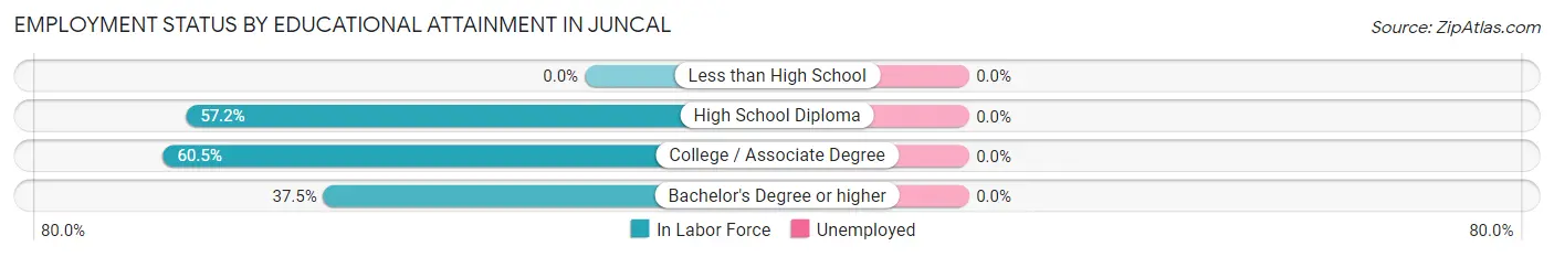 Employment Status by Educational Attainment in Juncal