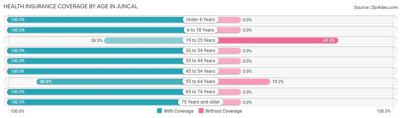 Health Insurance Coverage by Age in Juncal