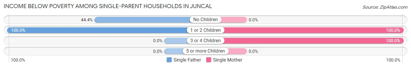 Income Below Poverty Among Single-Parent Households in Juncal