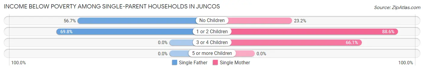 Income Below Poverty Among Single-Parent Households in Juncos