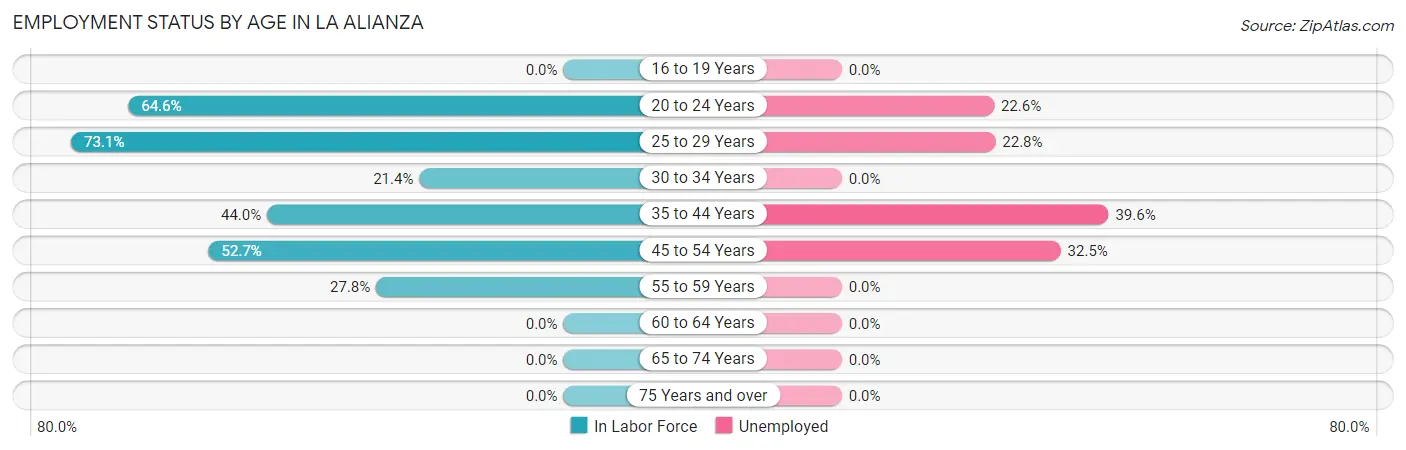 Employment Status by Age in La Alianza