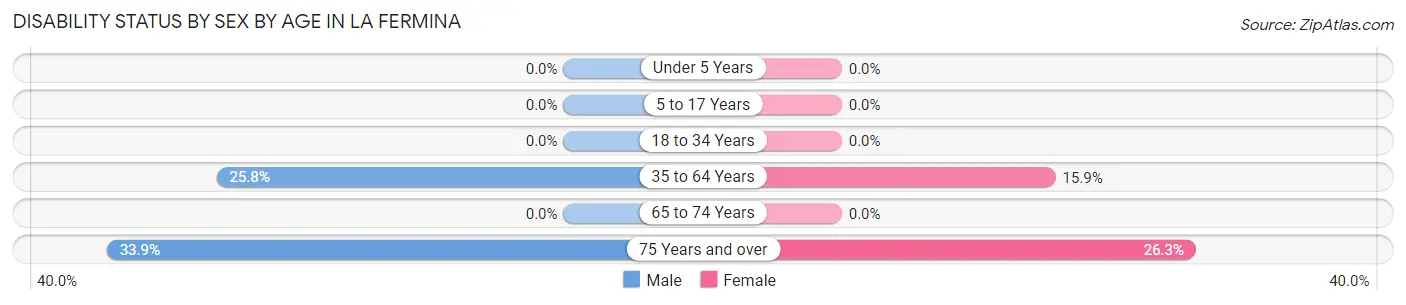 Disability Status by Sex by Age in La Fermina