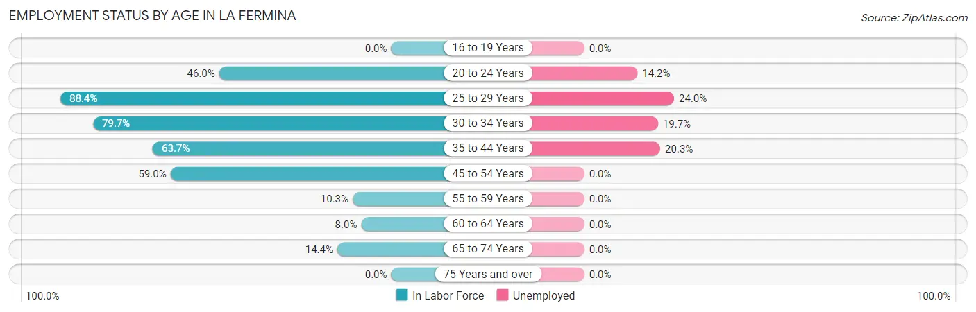 Employment Status by Age in La Fermina