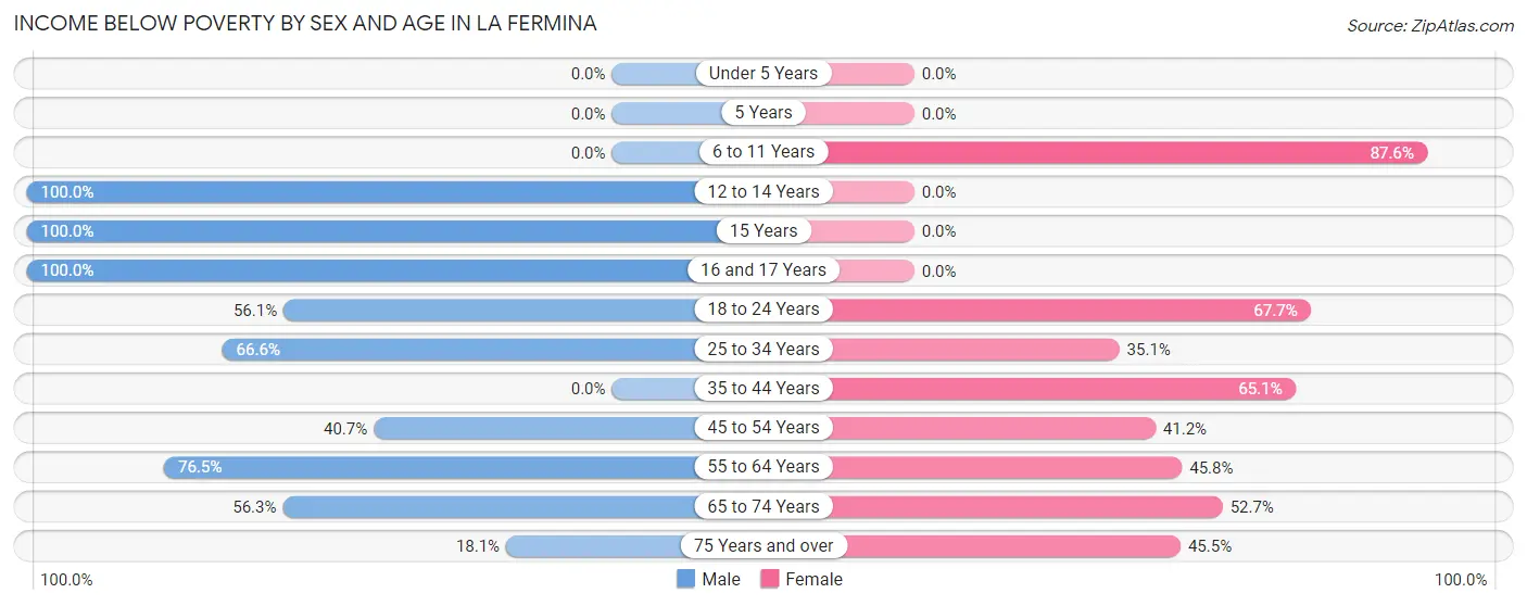 Income Below Poverty by Sex and Age in La Fermina