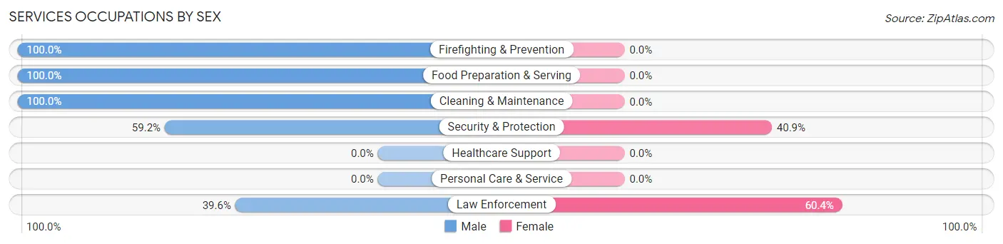 Services Occupations by Sex in La Fermina