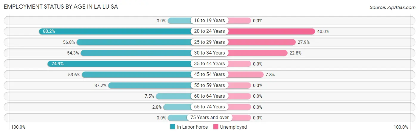 Employment Status by Age in La Luisa