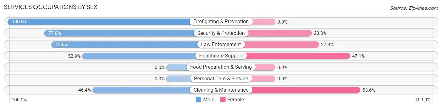 Services Occupations by Sex in La Luisa