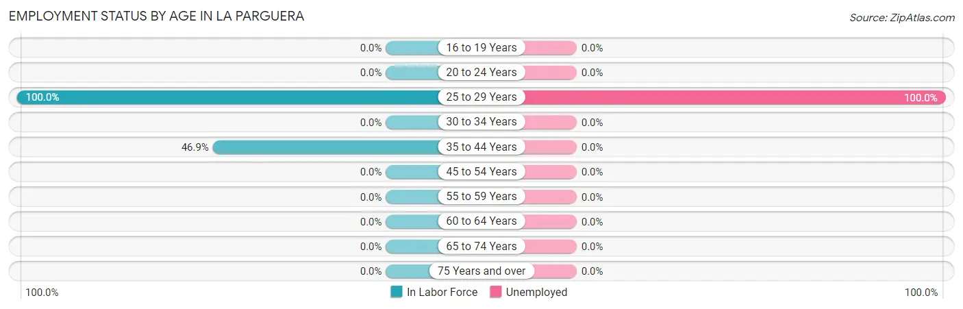 Employment Status by Age in La Parguera