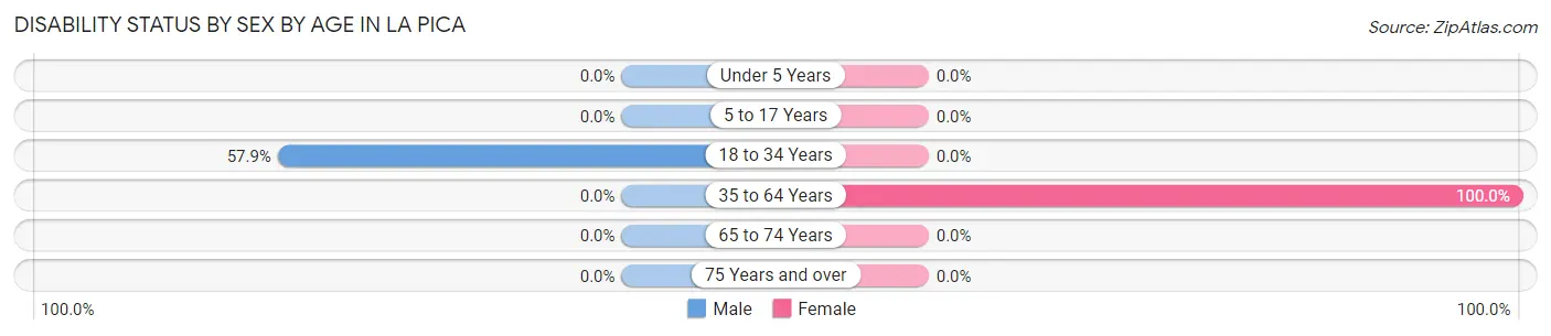 Disability Status by Sex by Age in La Pica
