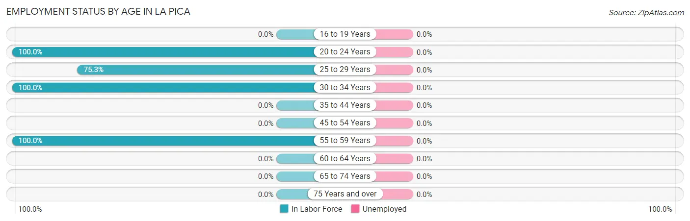 Employment Status by Age in La Pica