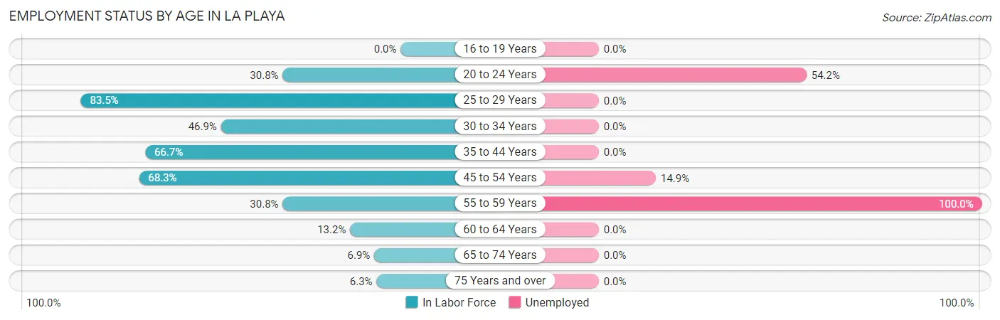 Employment Status by Age in La Playa