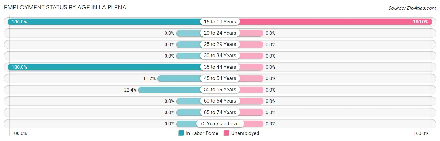 Employment Status by Age in La Plena