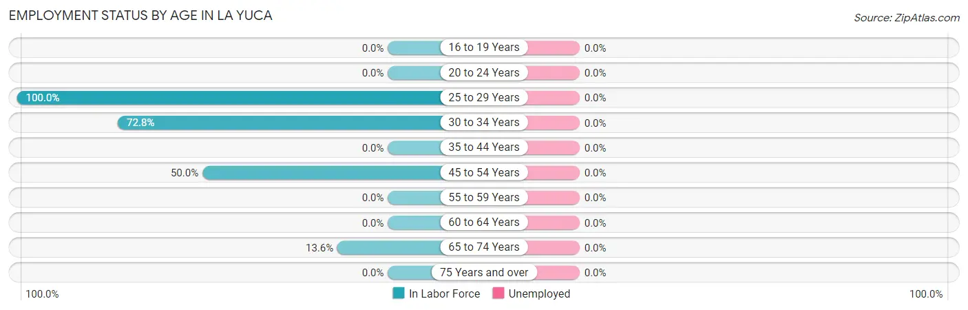 Employment Status by Age in La Yuca