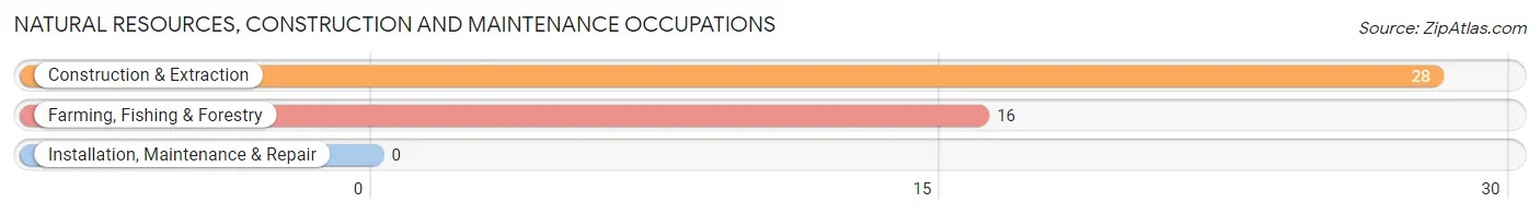 Natural Resources, Construction and Maintenance Occupations in Lajas