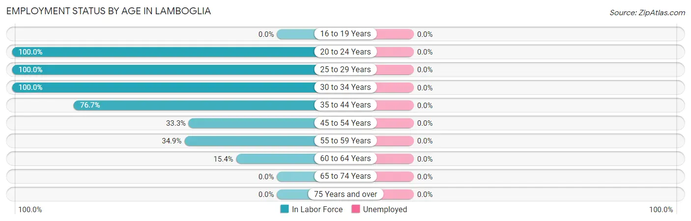 Employment Status by Age in Lamboglia