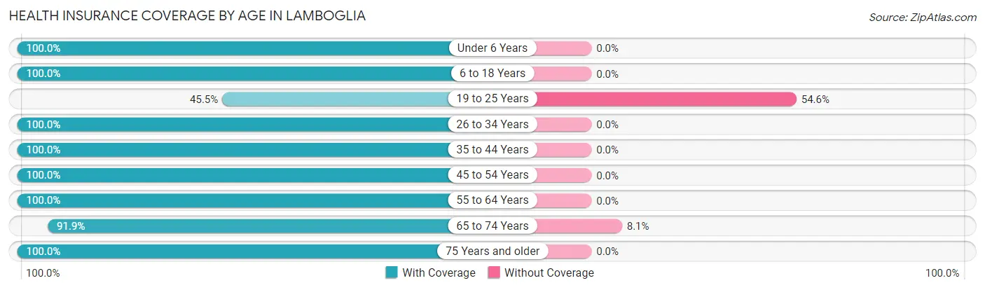 Health Insurance Coverage by Age in Lamboglia