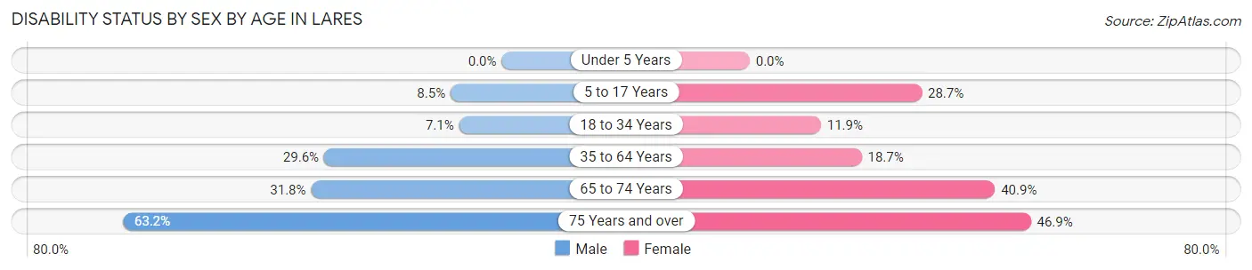 Disability Status by Sex by Age in Lares