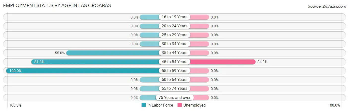Employment Status by Age in Las Croabas