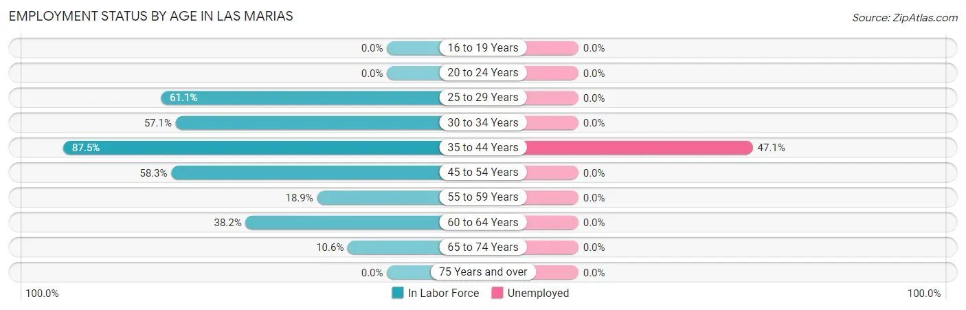 Employment Status by Age in Las Marias