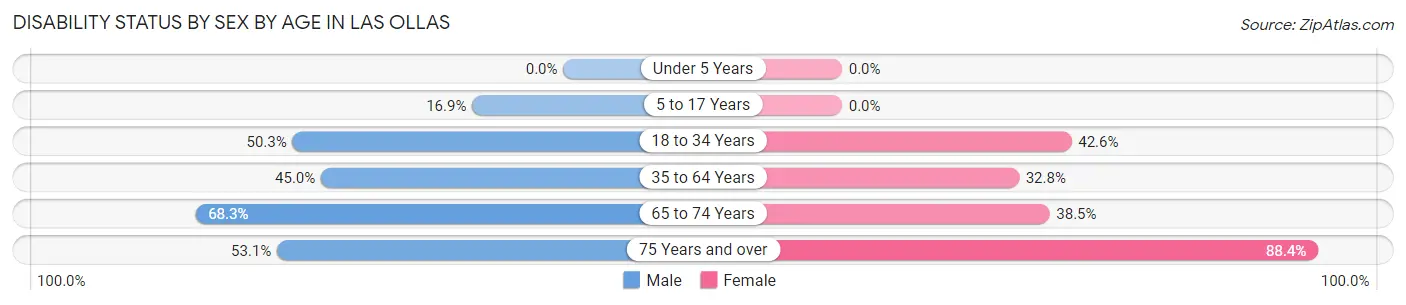 Disability Status by Sex by Age in Las Ollas