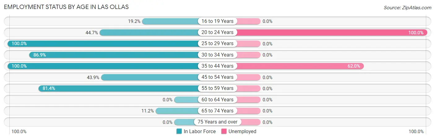 Employment Status by Age in Las Ollas
