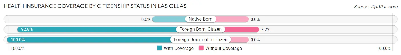 Health Insurance Coverage by Citizenship Status in Las Ollas