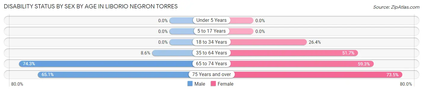 Disability Status by Sex by Age in Liborio Negron Torres