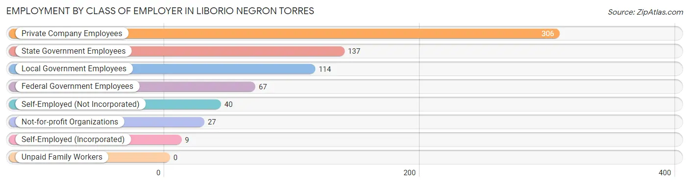 Employment by Class of Employer in Liborio Negron Torres