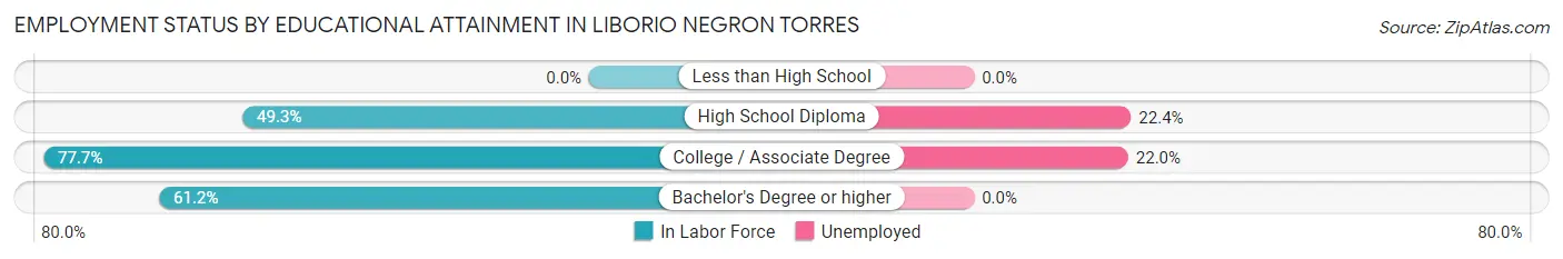 Employment Status by Educational Attainment in Liborio Negron Torres