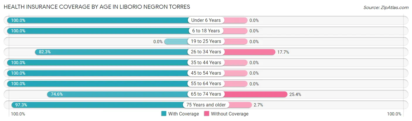 Health Insurance Coverage by Age in Liborio Negron Torres