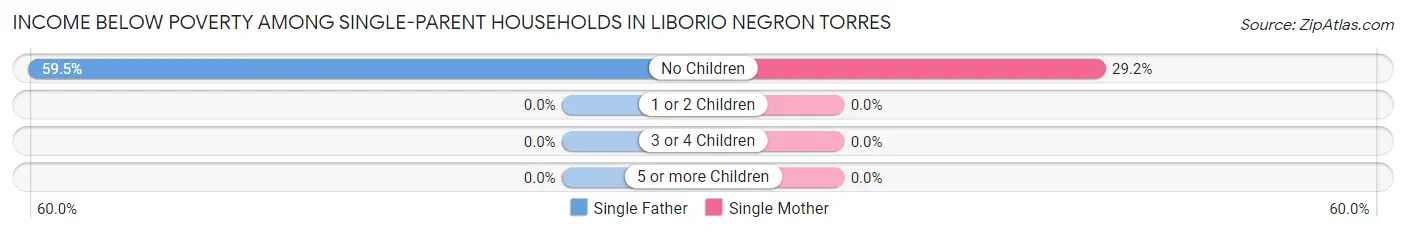 Income Below Poverty Among Single-Parent Households in Liborio Negron Torres