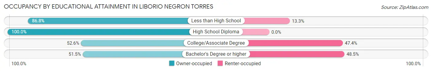 Occupancy by Educational Attainment in Liborio Negron Torres