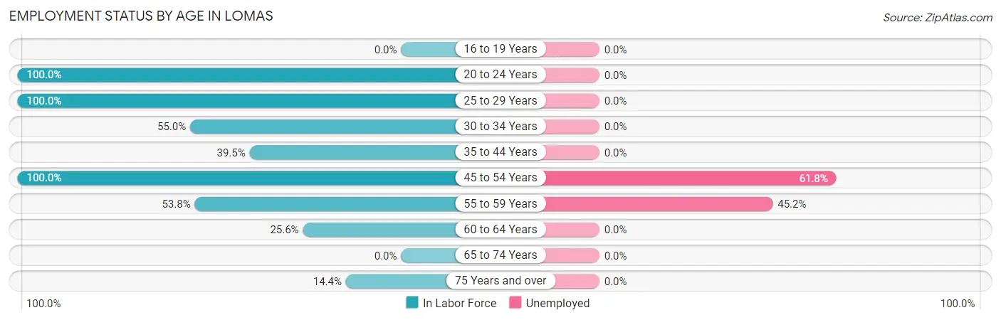 Employment Status by Age in Lomas