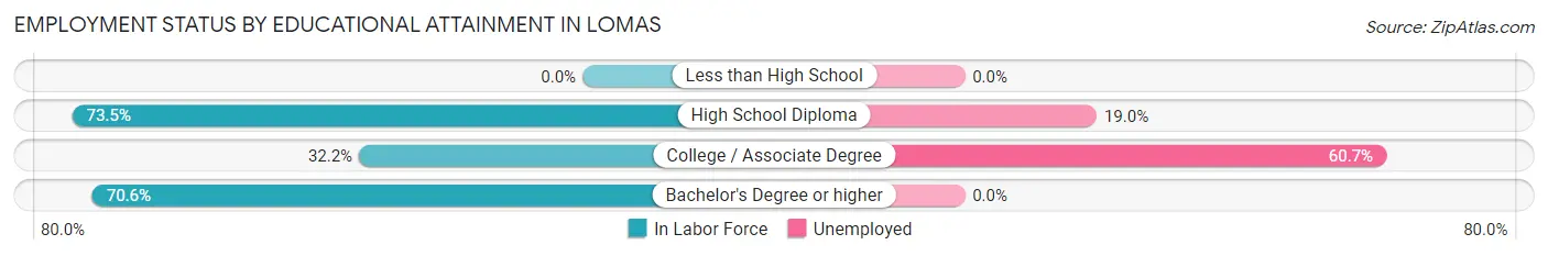 Employment Status by Educational Attainment in Lomas