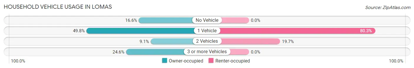 Household Vehicle Usage in Lomas