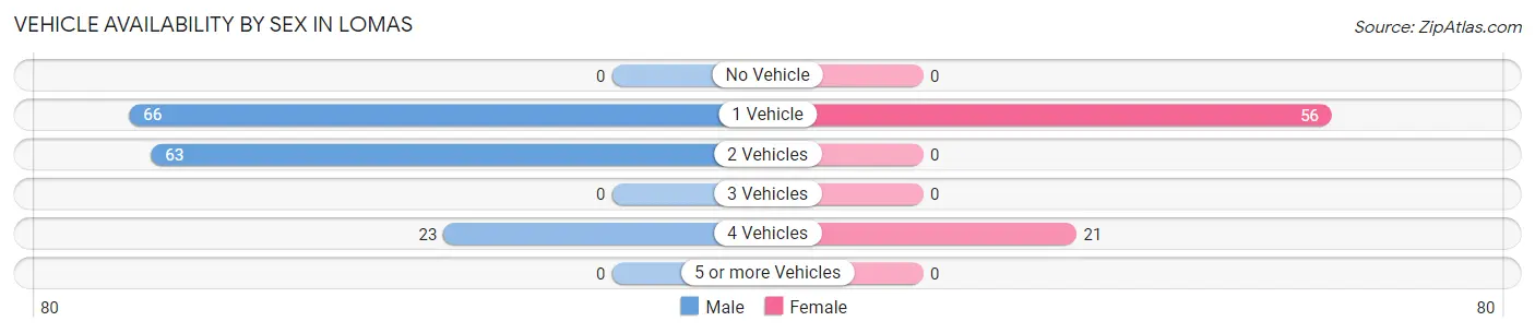 Vehicle Availability by Sex in Lomas
