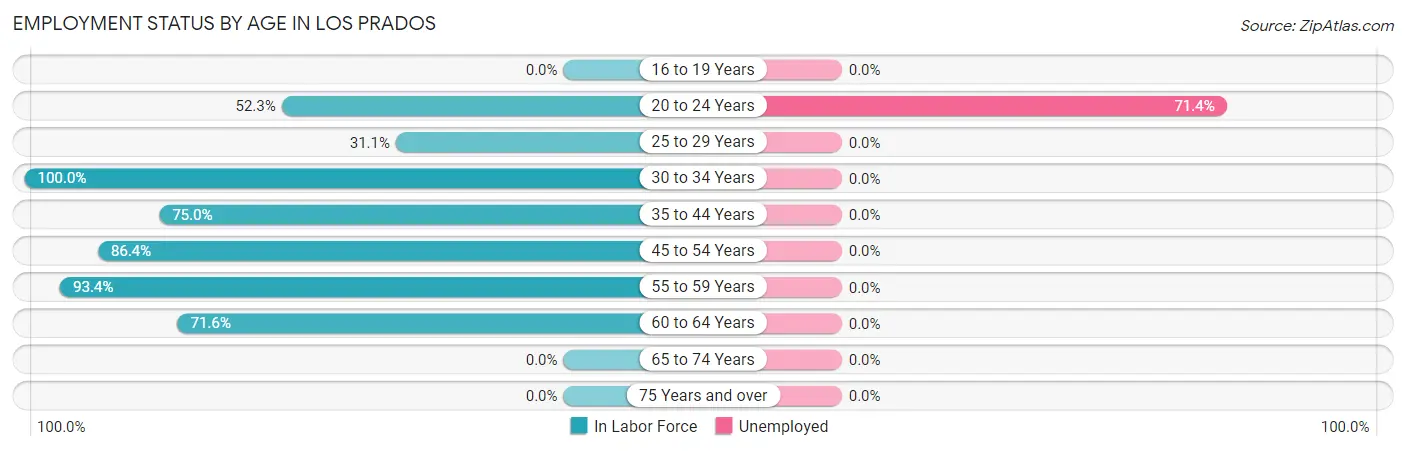 Employment Status by Age in Los Prados