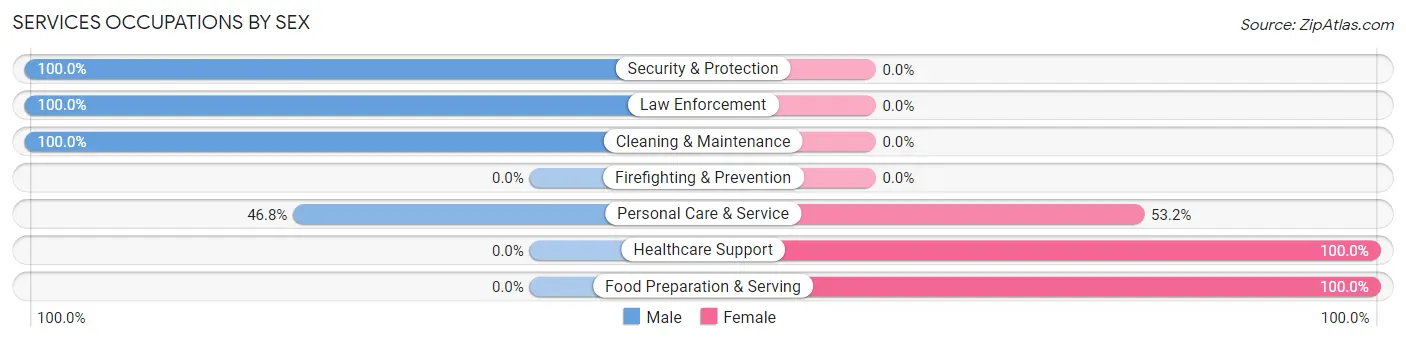 Services Occupations by Sex in Luis Llorens Torres