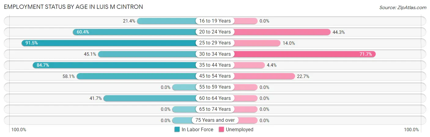 Employment Status by Age in Luis M Cintron