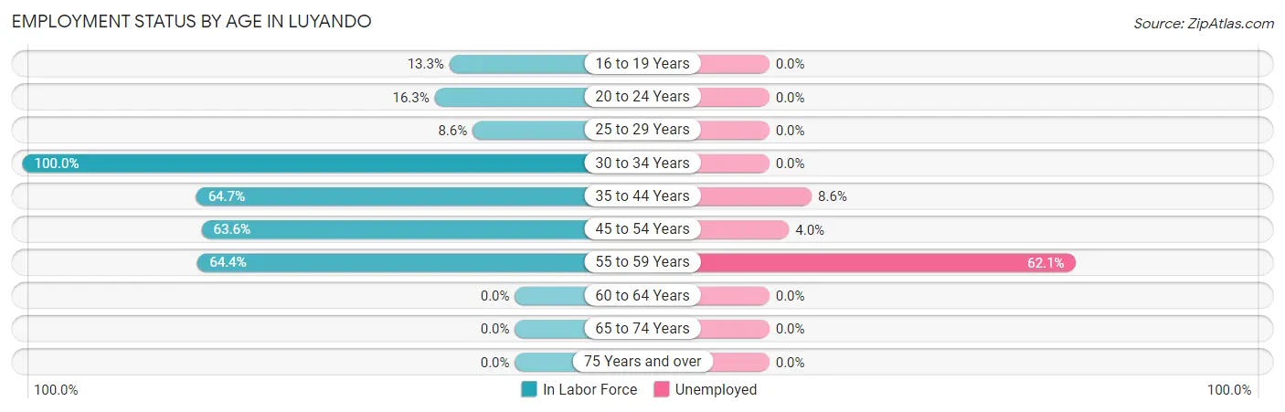 Employment Status by Age in Luyando