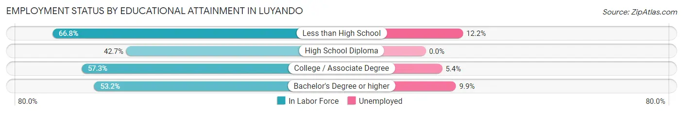 Employment Status by Educational Attainment in Luyando