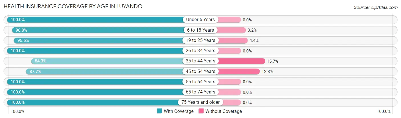 Health Insurance Coverage by Age in Luyando