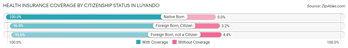 Health Insurance Coverage by Citizenship Status in Luyando