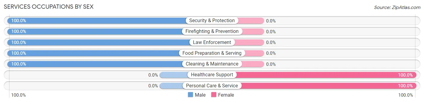 Services Occupations by Sex in Luyando