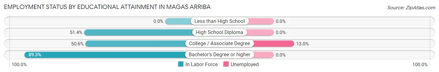 Employment Status by Educational Attainment in Magas Arriba
